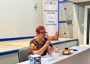 La Presidenta del CDE del PAN, Perla Woolrich pidió al Gobierno Estatal evitar «reedición» de un Conflicto Social como el 2006″