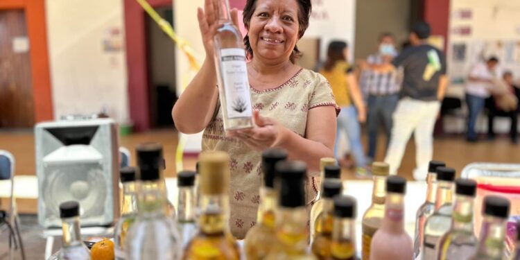 Realizan Feria Bienestar en Santa Lucía del Camino