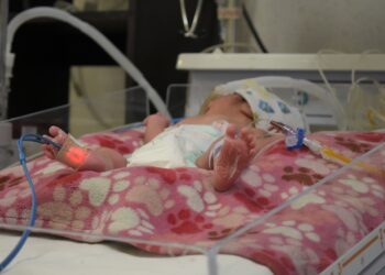 Consumo de ácido fólico, ayuda a prevenir defectos congénitos: SSO