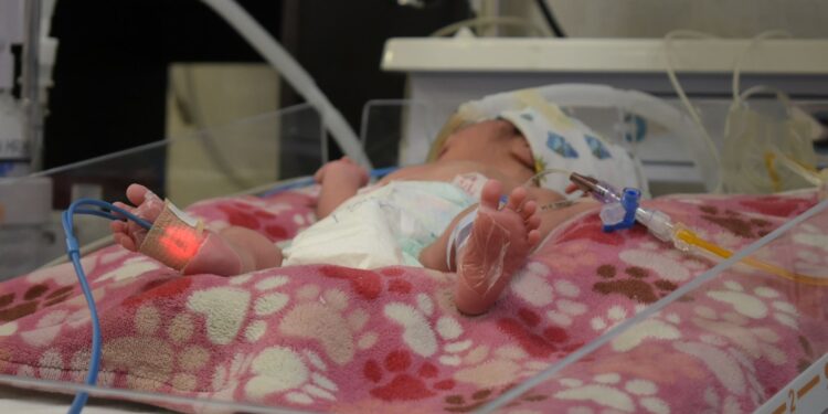 Consumo de ácido fólico, ayuda a prevenir defectos congénitos: SSO