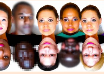 Las redes sociales más utilizadas para promocionar y vender productos