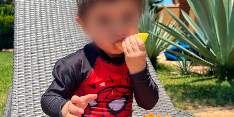 Exhorta SSO a preparar lonche saludable para el regreso a clases&nbsp;