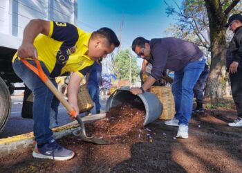 Con Tequio Bienestar embellecen el camellón de la carretera Internacional 190