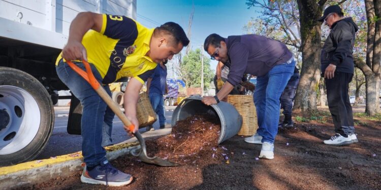 Con Tequio Bienestar embellecen el camellón de la carretera Internacional 190