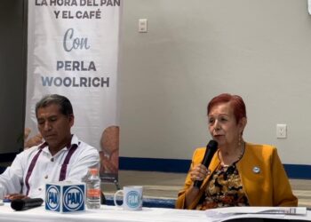Perla Woolrich, dirigente del PAN pide a la ciudadanía salir defender la democracia, y organismos como el INAI