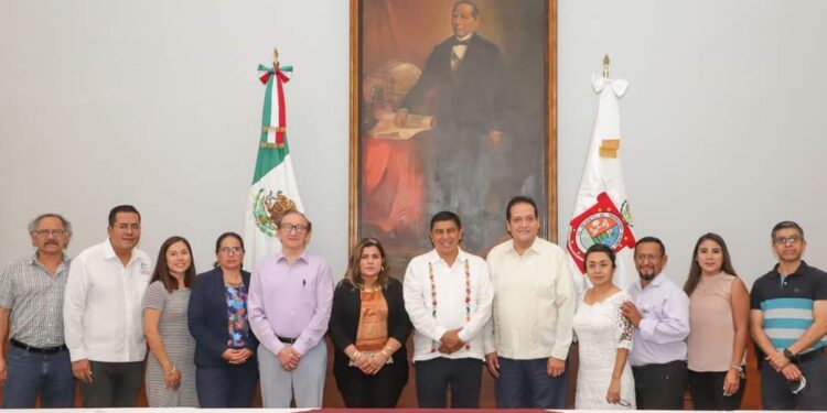 Borrador automático