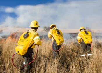 Combatientes de incendios forestales, héroes protectores de los bosques de Oaxaca