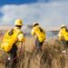 Combatientes de incendios forestales, héroes protectores de los bosques de Oaxaca