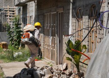 Fortalece SSO nebulización casa por casa en Ejutla de Crespo