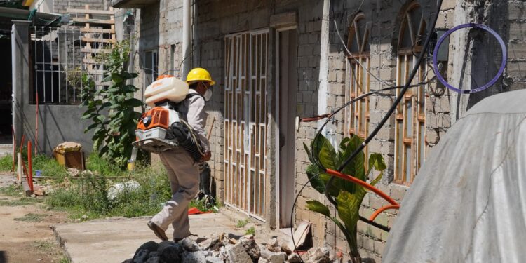 Fortalece SSO nebulización casa por casa en Ejutla de Crespo