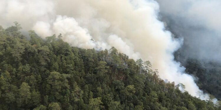 Intensifican trabajos para sofocar incendio entre Atatlahuca y Maninaltepec