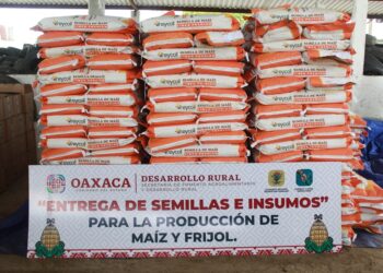 Arranca programa Abasto Seguro de Maíz en la Cuenca del Papaloapan