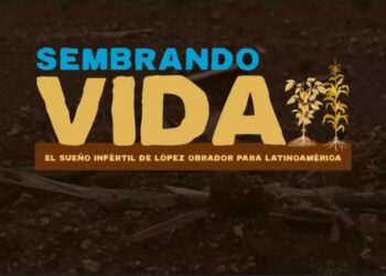 Especial #SembrandoVida: El sueño infértil de AMLO para Latinoamérica