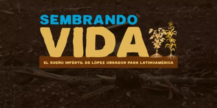 Especial #SembrandoVida: El sueño infértil de AMLO para Latinoamérica