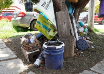 Oaxaca ocupa el décimo lugar a nivel nacional por dengue: SSO