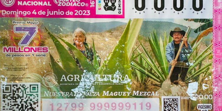 Devela Lotería Nacional billete alusivo al Maguey-Mezcal
