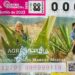 Devela Lotería Nacional billete alusivo al Maguey-Mezcal