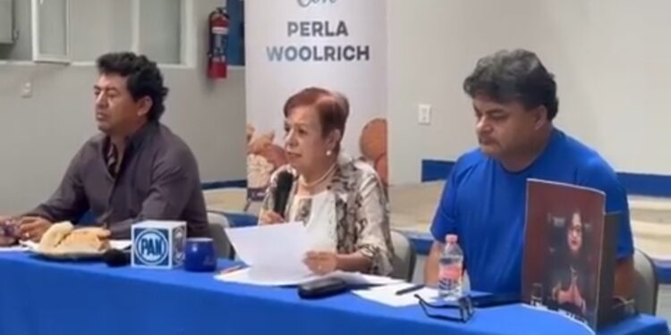 Morena y su presidente AMLO están “apanicados” por la favorable respuesta de la ciudadanía a quienes aspiran a conducir el Frente Amplio Opositor