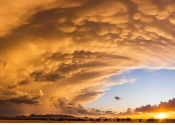 En el 2030 tendrían monedas digitales 24 bancos centrales