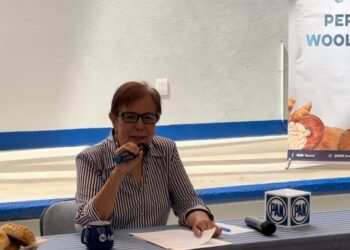 Indispensable que se apliquen medidas cautelares ante la visita de la senadora Xochitl Gálvez: Perla Woolrich