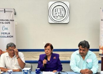 Inconstitucional sustitución de magistrados: Perla Woolrich