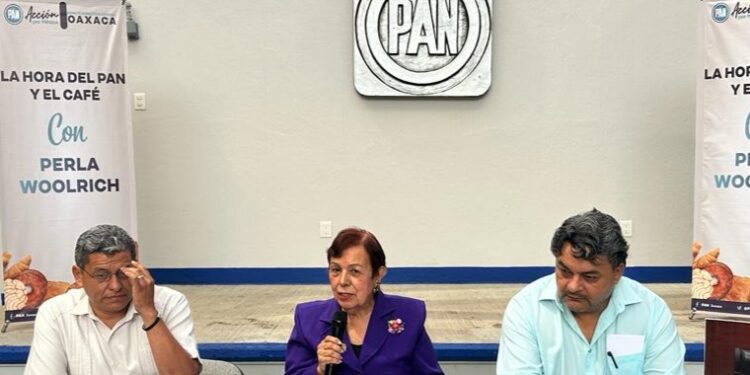 Inconstitucional sustitución de magistrados: Perla Woolrich