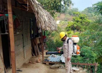 Garantiza SSO uso de insumos de calidad para el control del dengue