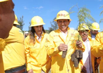 Arranca Salomón Jara Jornada Estatal de Reforestación 2023