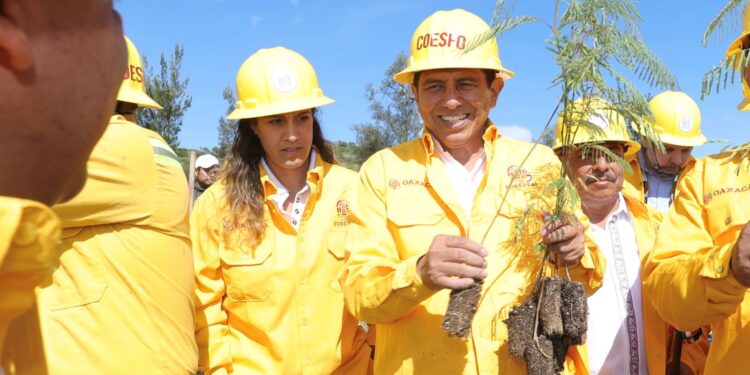 Arranca Salomón Jara Jornada Estatal de Reforestación 2023