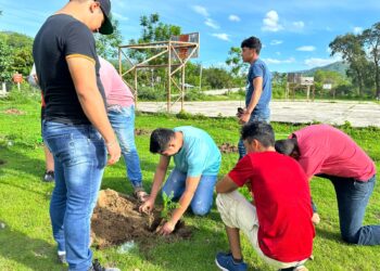 Se suma Casa de la Cultura Oaxaqueña a la Jornada de Reforestación 2023