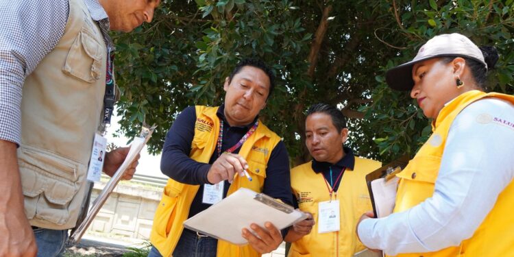 Acciones de patio limpio evitan la propagación del dengue: SSO