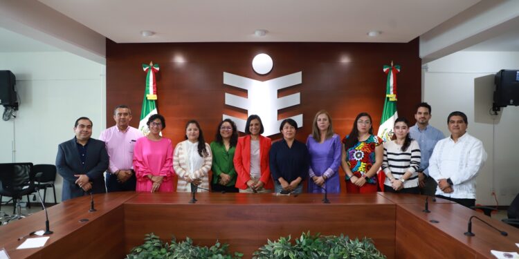  IEEPCO realiza reunión de trabajo con Consejerías del INE