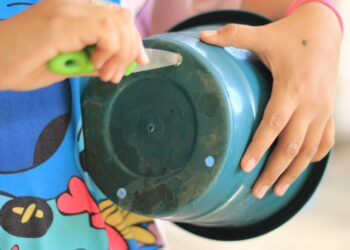 Más de 42 mil acciones durante la Jornada Estatal de Lucha contra el Dengue