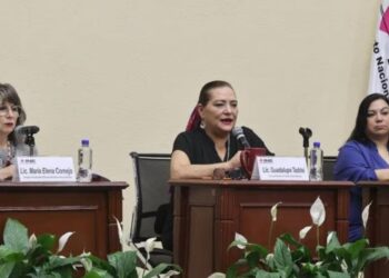 Istmo de Tehuantepec, ‘la solución’ ante ‘tapón’ de barcos en Canal de Panamá: AMLO