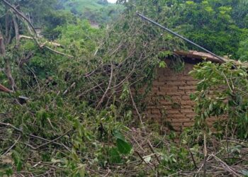 Protección Civil monitorea regiones de la Costa y Mixteca, ante fuertes lluvias