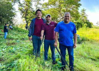 Forma IFPA equipo con artesanas y artesanos para la reforestación de San Antonio Arrazola
