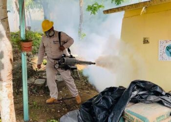 Reporta SSO 709 casos de dengue confirmados en la entidad oaxaqueña