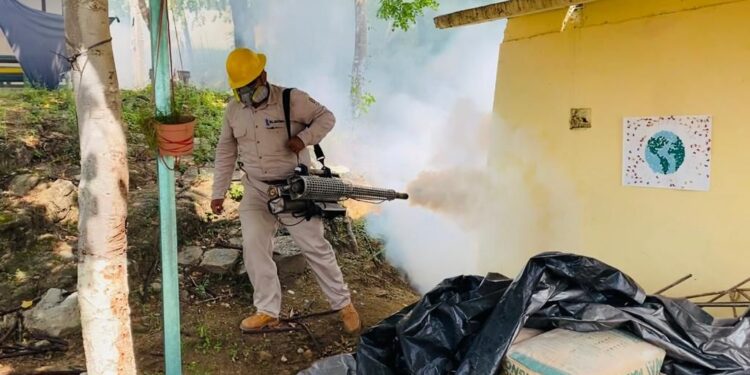 Reporta SSO 709 casos de dengue confirmados en la entidad oaxaqueña