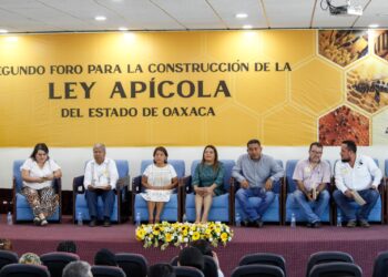 Presentarán congresistas del PRD y ciudadanía iniciativa para crear la Ley Apícola de Oaxaca