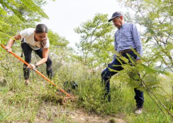 Una `Gozona´ la primera jornada de reforestación del Gobierno de Oaxaca  en el Cerro del Fortín