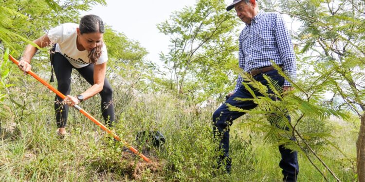 Una `Gozona´ la primera jornada de reforestación del Gobierno de Oaxaca  en el Cerro del Fortín