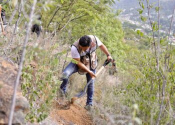 Siembra de árboles contribuye a recargar mantos acuíferos: Soapa