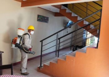 Insecticida aplicado en la lucha contra el dengue cumple con estándares de calidad: SSO