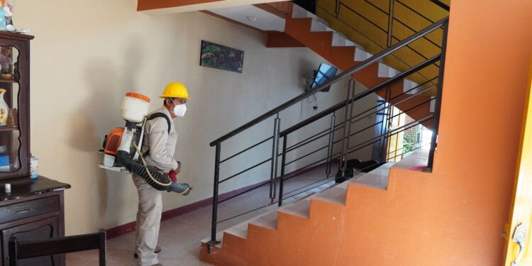 Insecticida aplicado en la lucha contra el dengue cumple con estándares de calidad: SSO