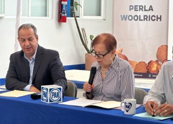Crisis del IEEPCO es promovida por el Gobierno Estatal y la mayoría del partido oficial de Morena en el Congreso Estatal: PAN