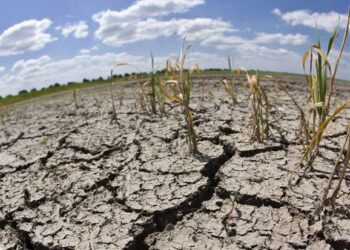 Propone diputado Horacio Sosa castigar con cárcel uso de “avionetas anti-lluvias” en Oaxaca