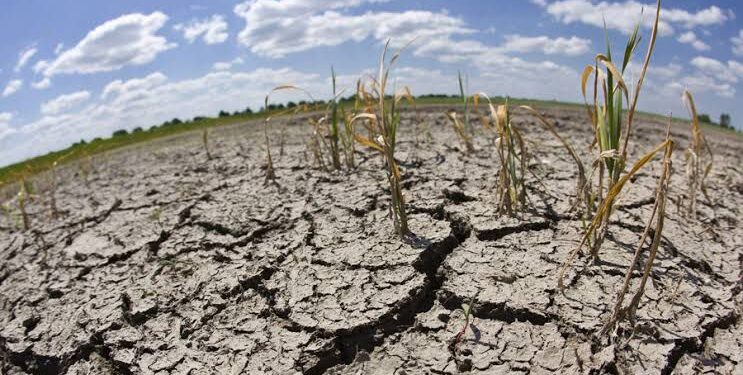 Propone diputado Horacio Sosa castigar con cárcel uso de “avionetas anti-lluvias” en Oaxaca