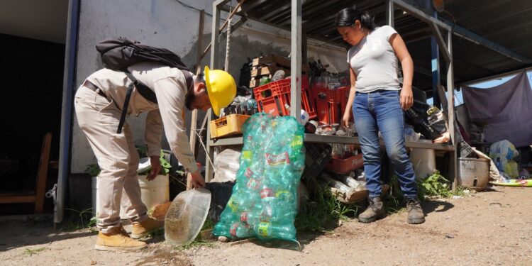 Convoca SSO realizar actividades de patio y vivienda limpia para combatir proliferación del dengue