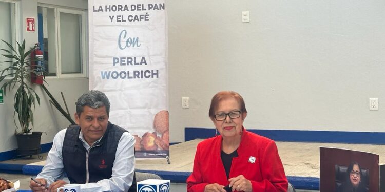 El PAN en Oaxaca urgió a modificar el paquete presupuestal 2024, y evitar que el partido oficial siga “robando” a los mexicanos recursos públicos para hacer “cochinitos” para el proceso electoral 2024