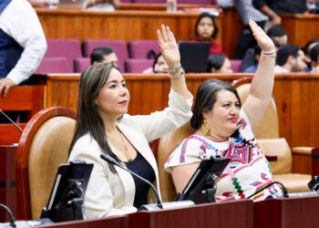Se amplían los derechos para la mujer con propuesta de la diputada Haydeé Reyes sobre lactancia materna en Oaxaca.